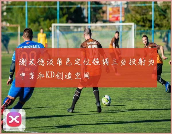 谢泼德谈角色定位强调三分投射为申京和KD创造空间