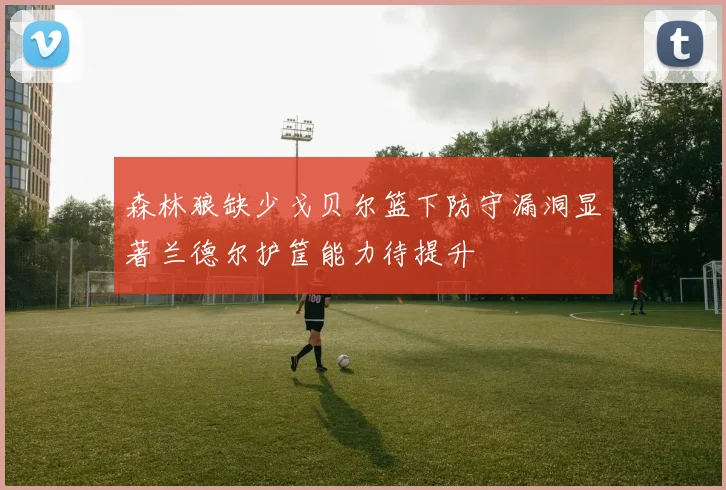 森林狼缺少戈贝尔篮下防守漏洞显著兰德尔护筐能力待提升