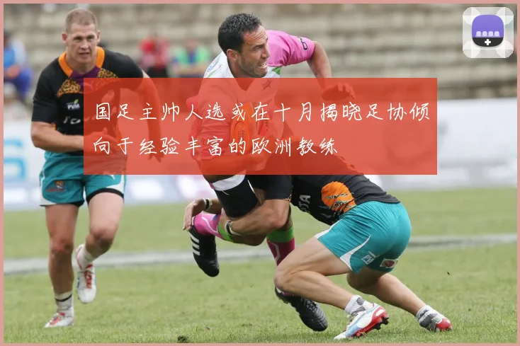 国足主帅人选或在十月揭晓足协倾向于经验丰富的欧洲教练