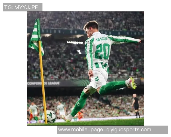 阿根廷精彩反击洛塞尔索轻松破门小蜘蛛助攻劳塔罗展现默契