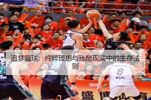 追梦篮球：纯粹理想与残酷现实中的生存法则 - qyg