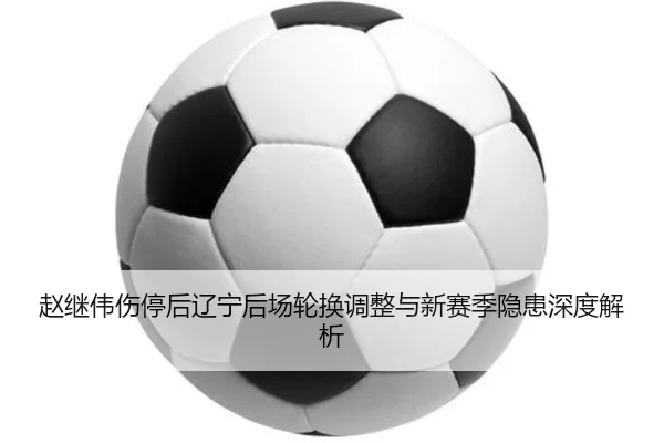 赵继伟伤停后辽宁后场轮换调整与新赛季隐患深度解析 - qyg